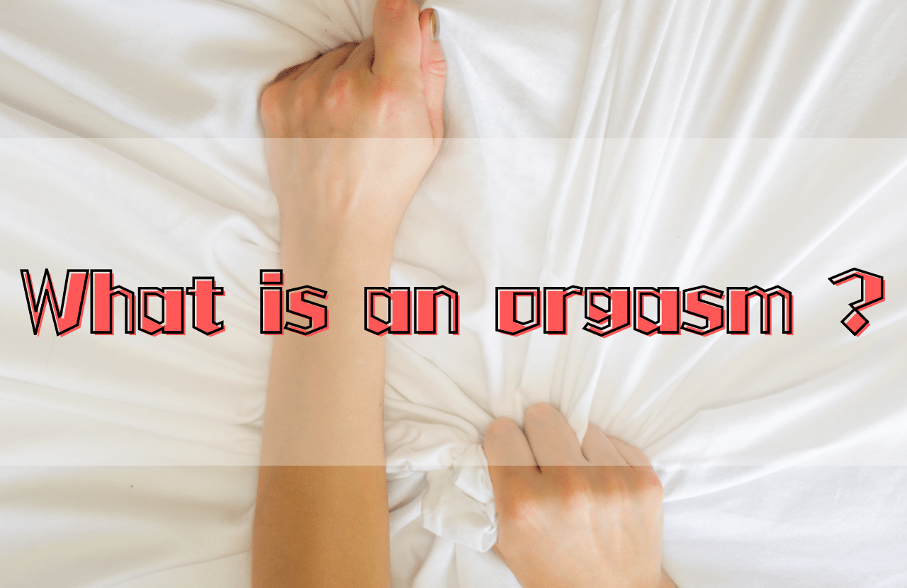 What Is An Orgasim